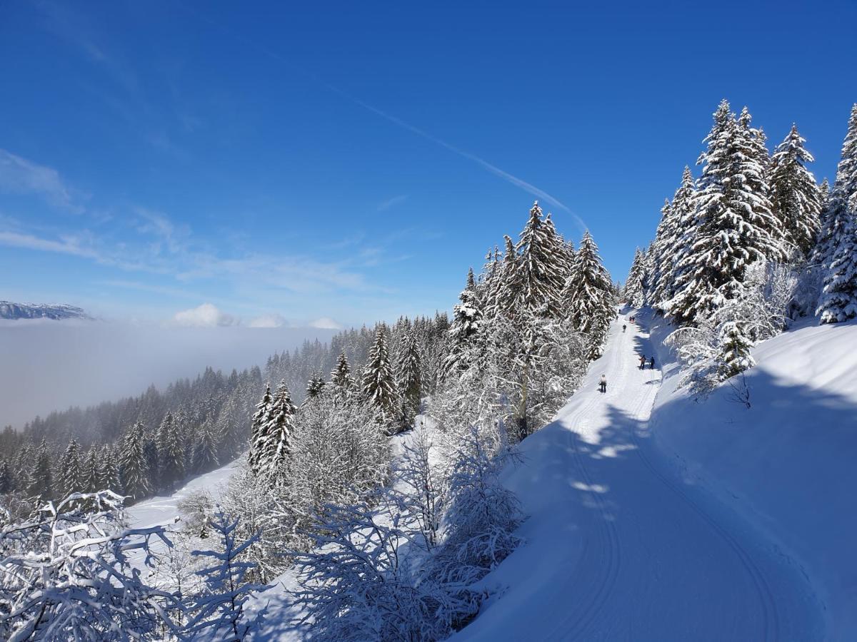 Le Chalet Theys Экстерьер фото