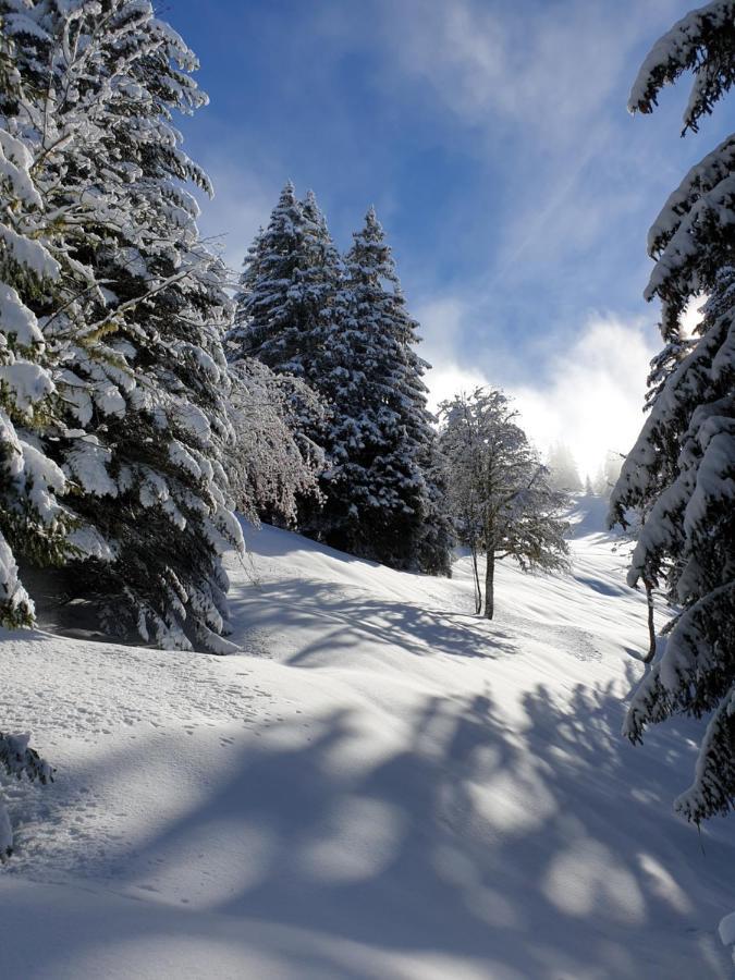 Le Chalet Theys Экстерьер фото